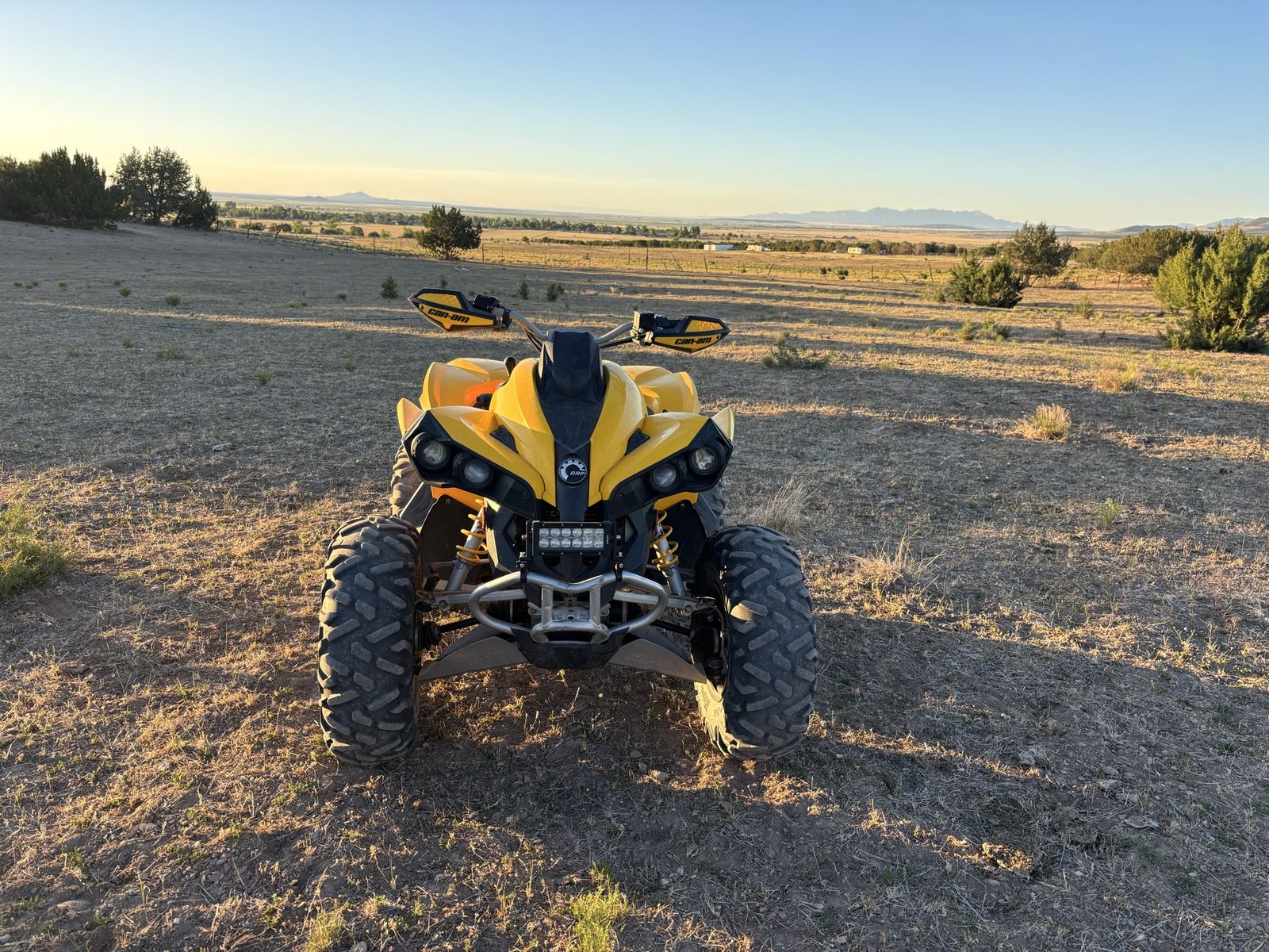 Can-Am renegade 800 R