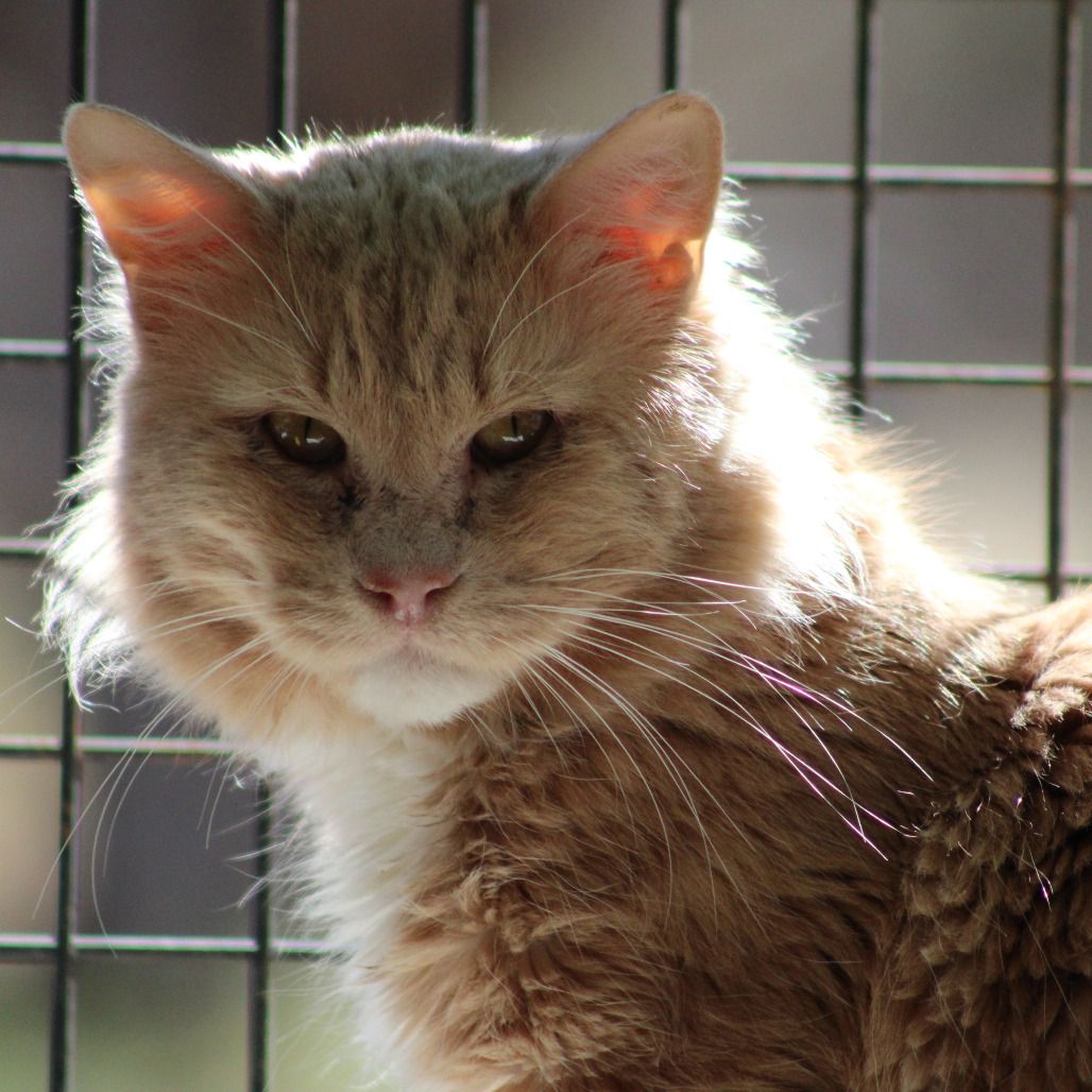 Hello my name is Camden