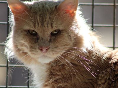 Hello my name is Camden