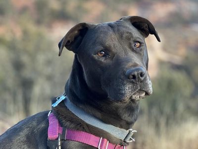 Hello my name is Mindy