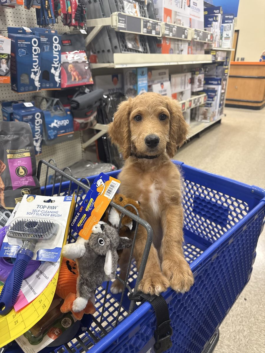Main image 2
