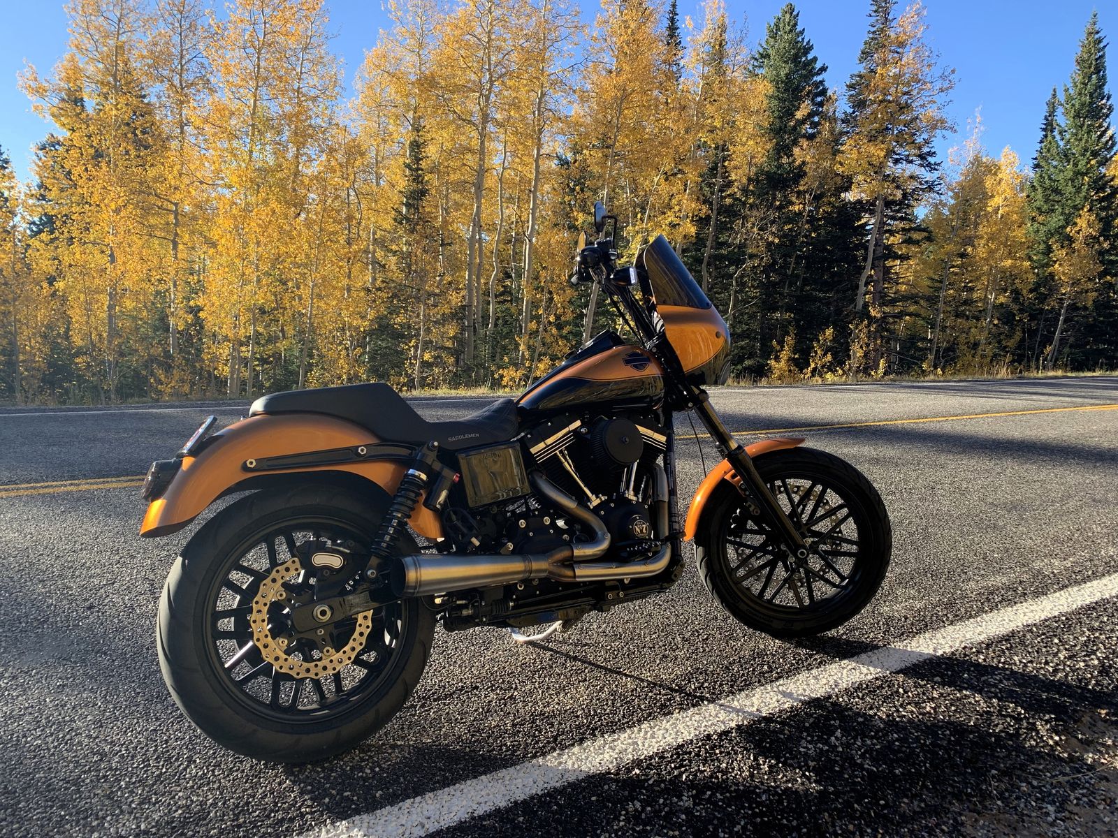 2016 Harley Davidson Dyna Street Bob