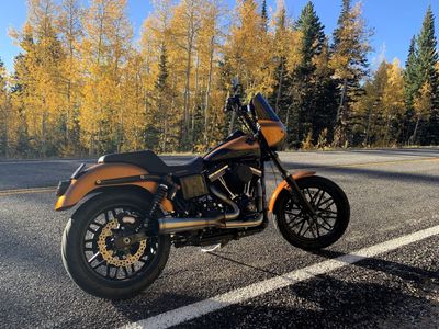 2016 Harley Davidson Dyna Street Bob