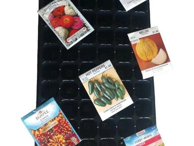 Seed Trays