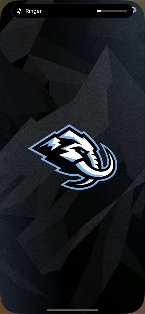 Utah Mammoth Tickets (2)