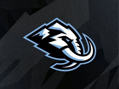 Utah Mammoth Tickets (2)