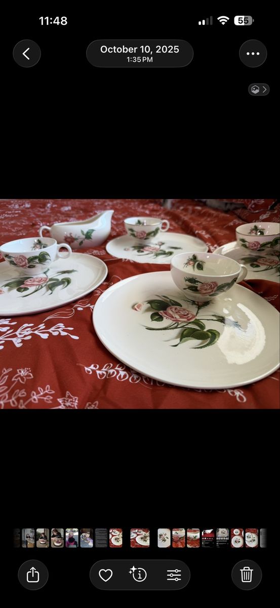 Ballerina China Rose & Rose petals pattern