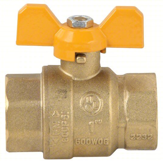 Manual Two-Way Ball Valve: 1 in, Brass, Straight, FNPT x FNPT, Full Port, 1WMH2