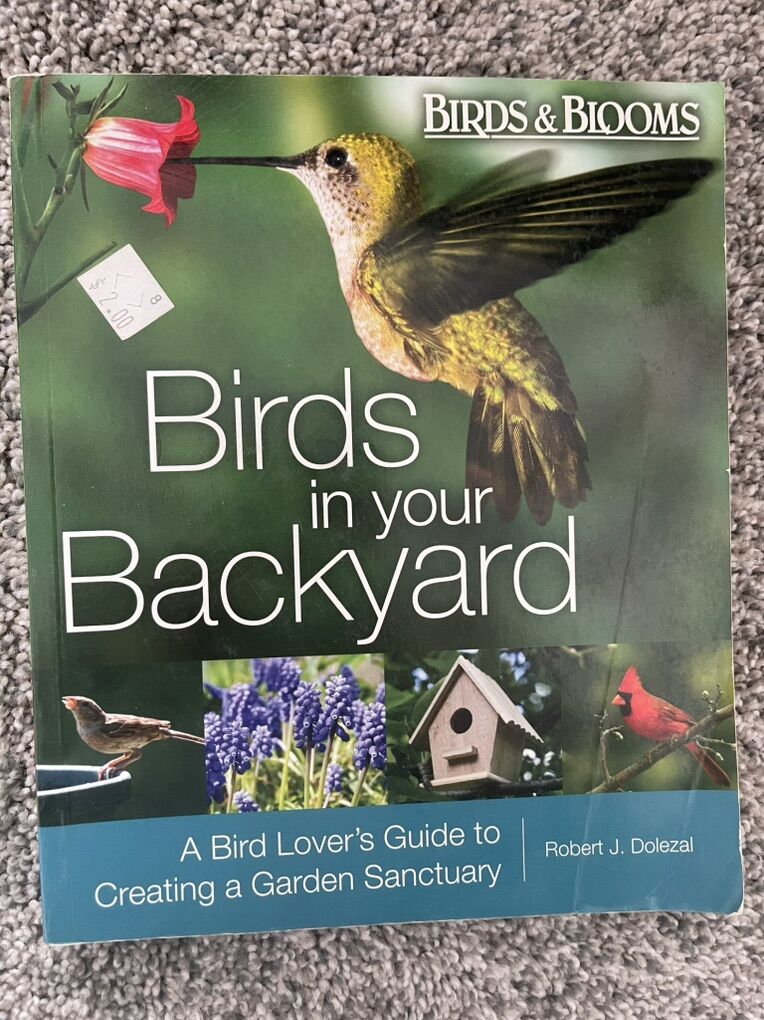 Birds In Your Backyard