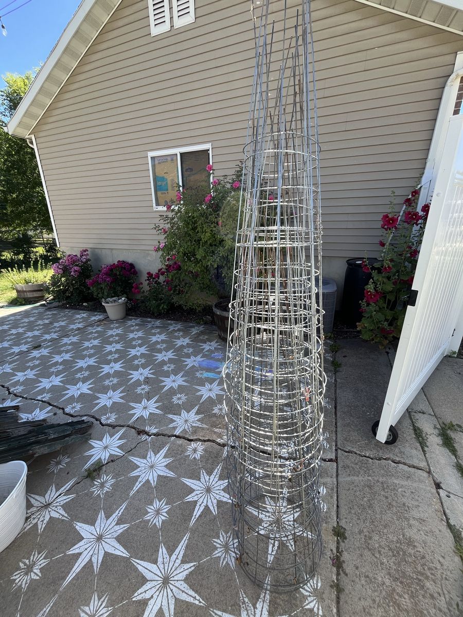 Assorted Tomato Cages