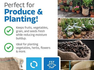 Sandbaggy Burlap Sand Bags