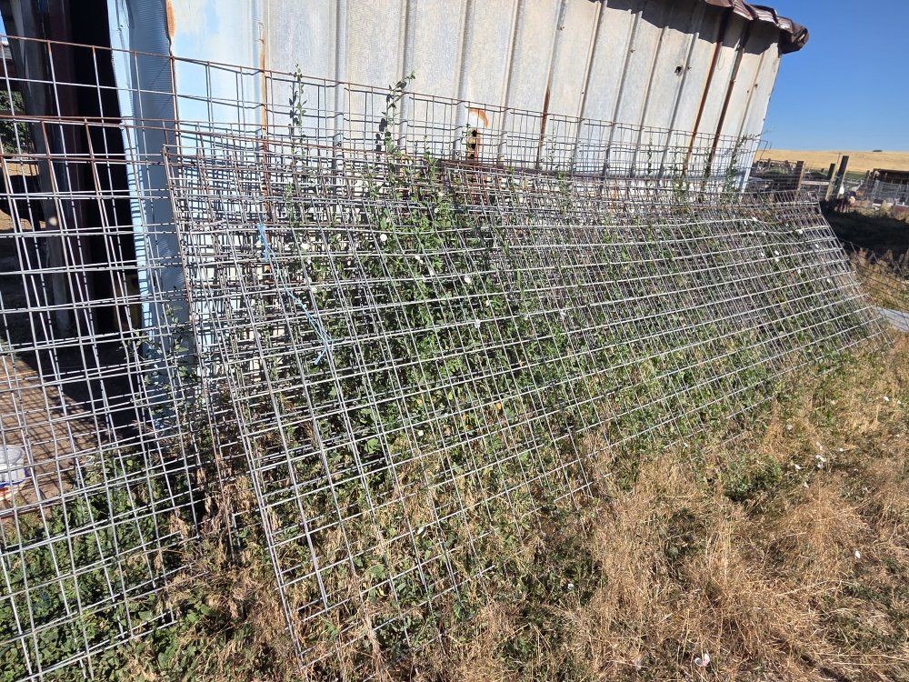 Galvanized Welded Wire Mesh Panels - Heavy-Duty Farm & Garden Fencing