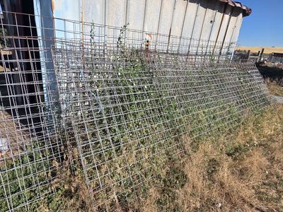 Galvanized Welded Wire Mesh Panels - Heavy-Duty Farm & Garden Fencing