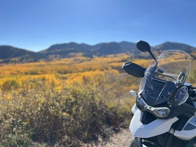 2023 Triumph Tiger 900 GT low - Low Mileage, Excellent Condition ADV Motorcycle