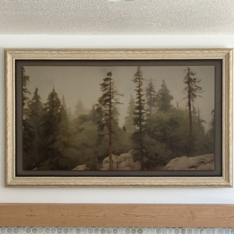 Picture Frame for 65” Samsung “The Frame” TV