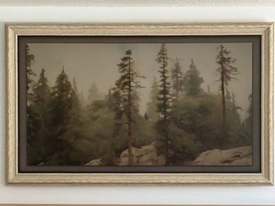 Picture Frame for 65” Samsung “The Frame” TV