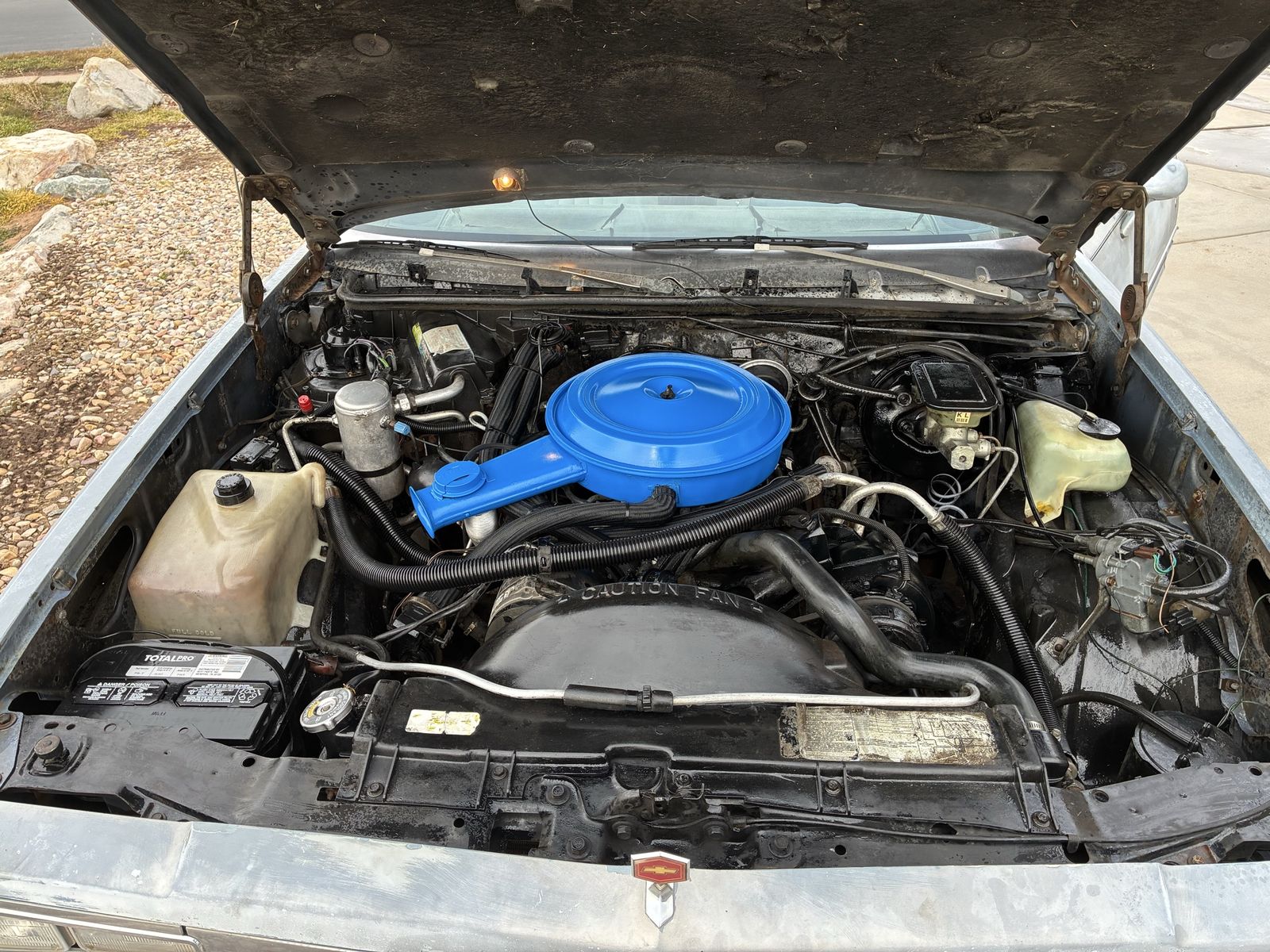 Main image 5