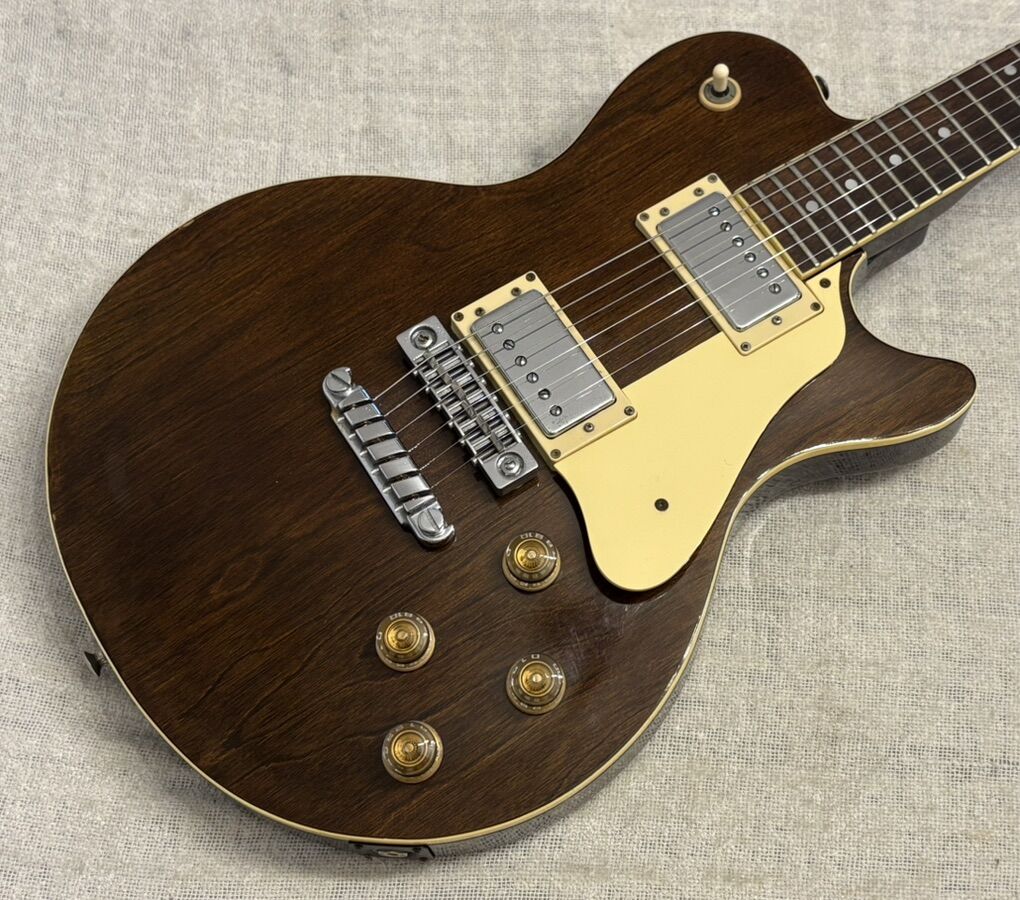 1978 ibanez PF100