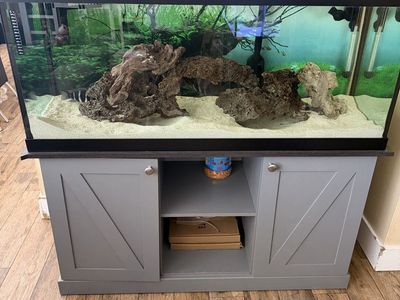 75 Gallon Fish Tank