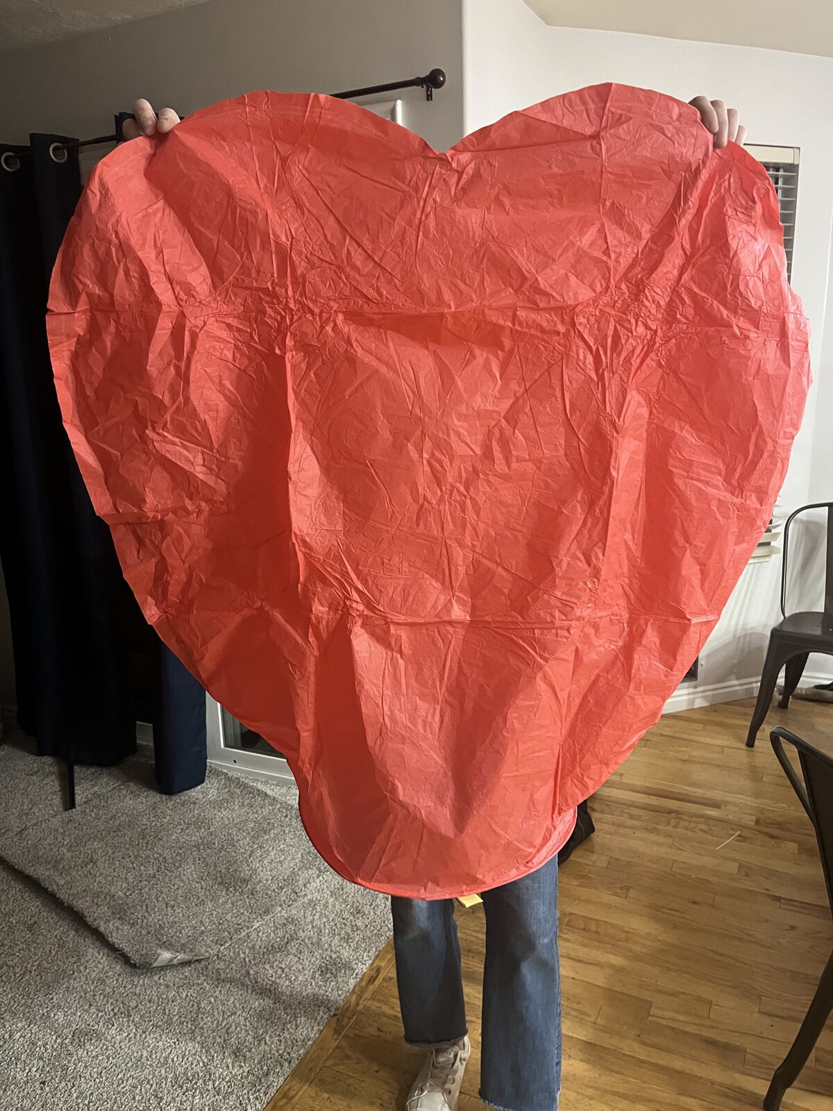 Heart Shapes Hot Air Balloons