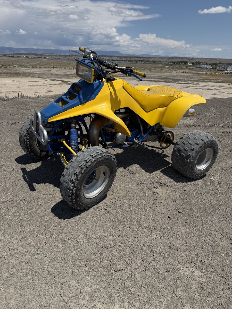 1989 Suzuki Lt250R Quad. Racer