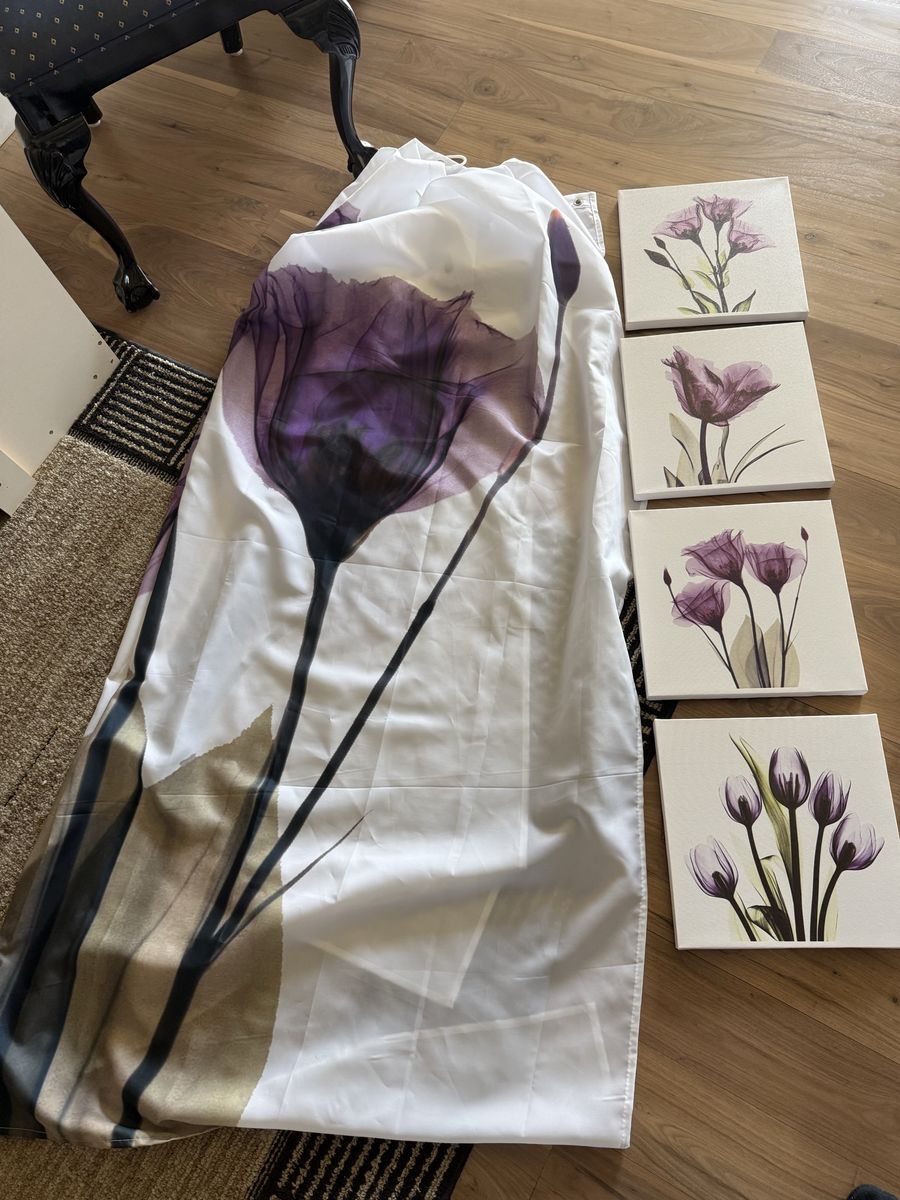 Shower curtain and picture set