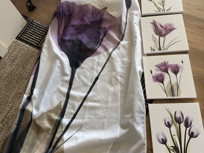 Shower curtain and picture set
