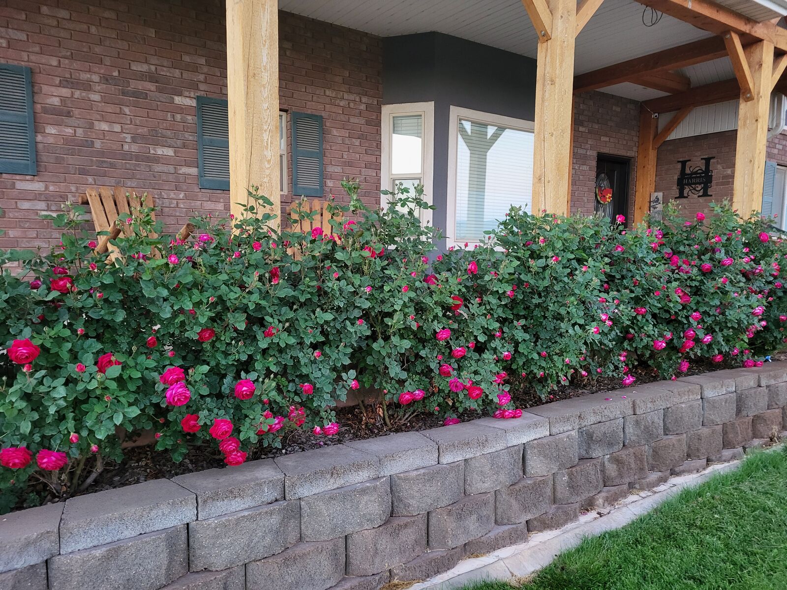 Fix Yellow Lawns and Gardens with Ferrozite Iron-Rich Topsoil – Utah's Dark Green Secret!