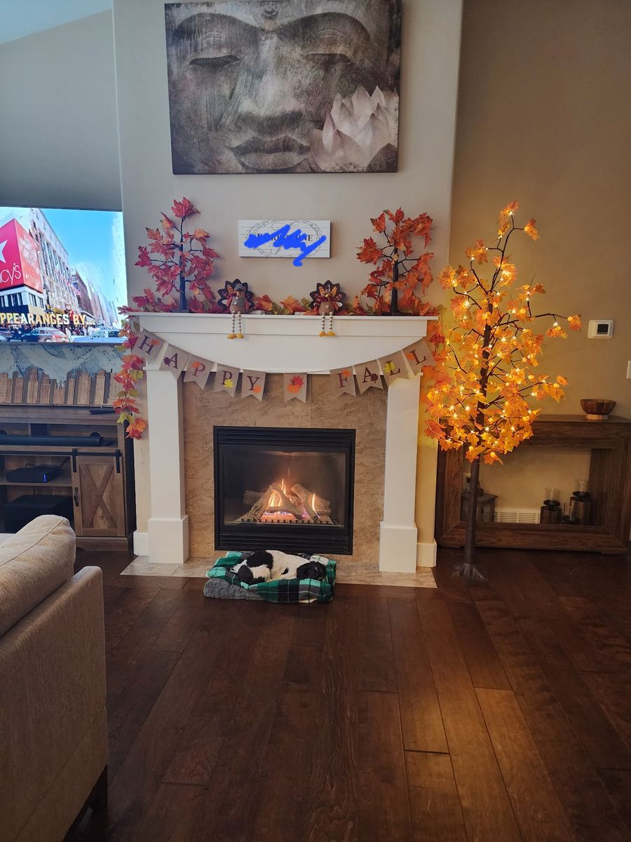 Fall Decorations $75.00 obo