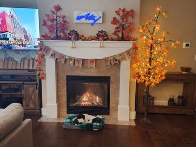 Fall Decorations $75.00 obo