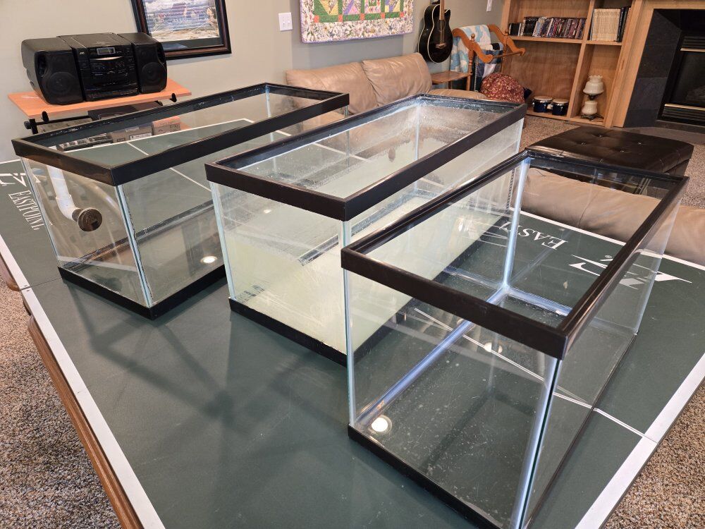 20g Aquarium Tank and Accessories