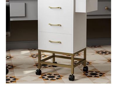 Esthetician/cosmetology Cart Black And Gold