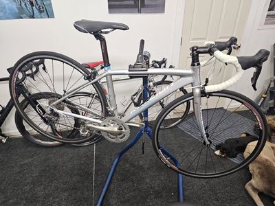 Raliegh capri 3.0