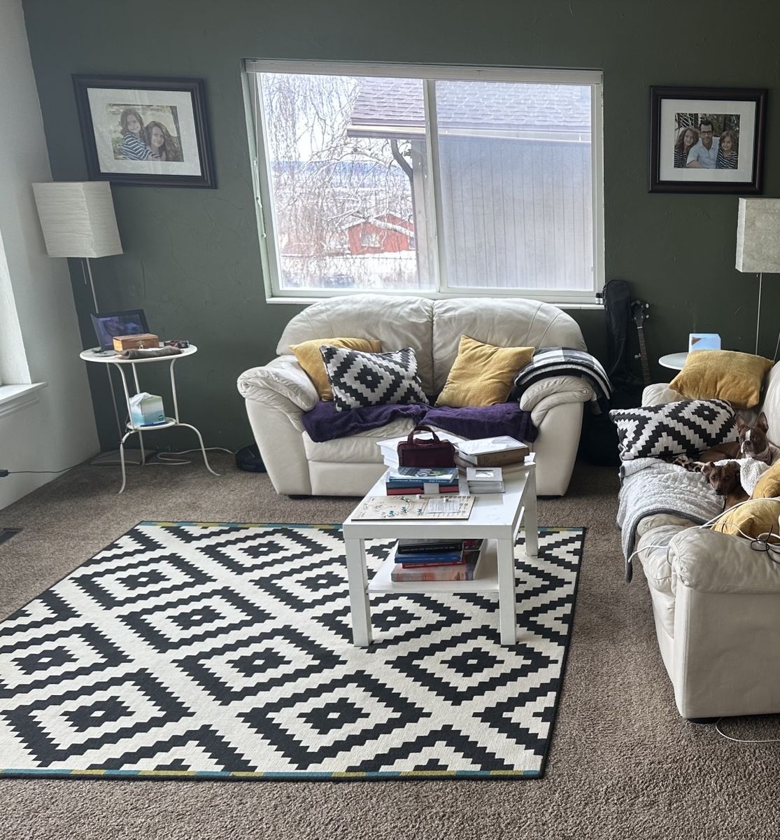 Worth $200 - Rug and (3) Pillows