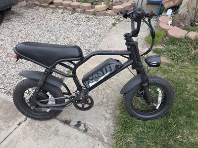 Vaster Fat tire e-bike