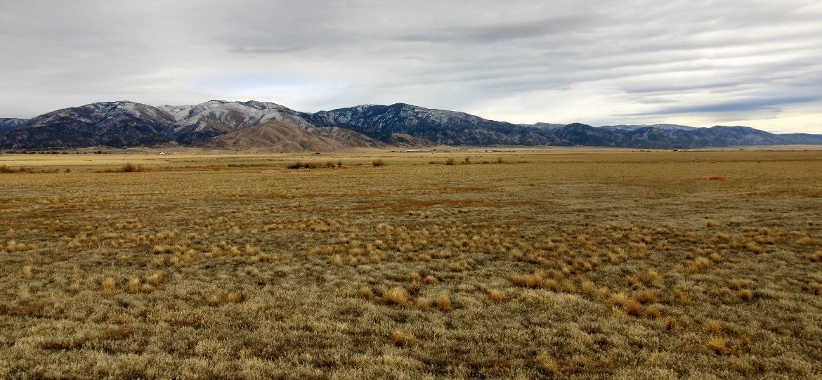 5 acre Homesteading Lot