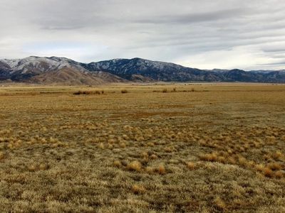 5 acre Homesteading Lot