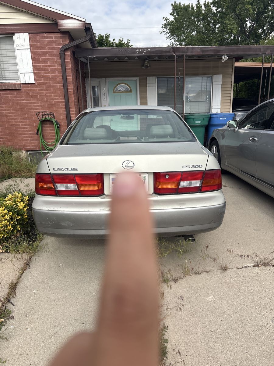 Main image 3