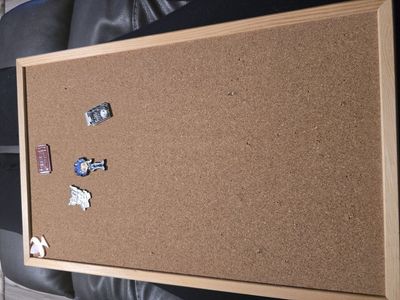 pin board and pins