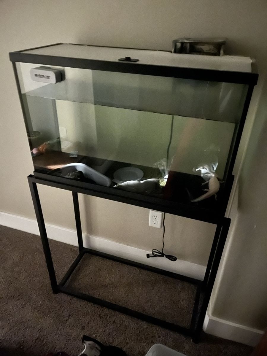 29 Gallon Aquarium Tank + stand