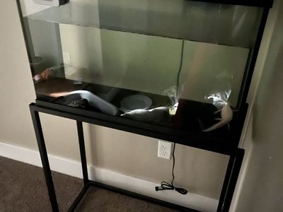 29 Gallon Aquarium Tank + stand