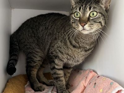 Hello my name is Eeyore