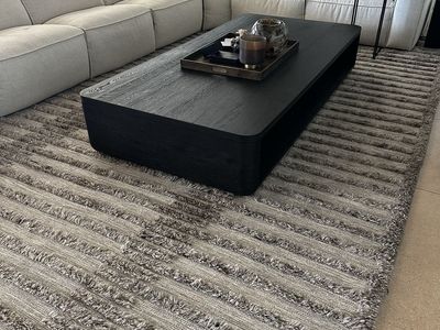 Crate and Barrel Cannet Rug 10x14 or 9x12