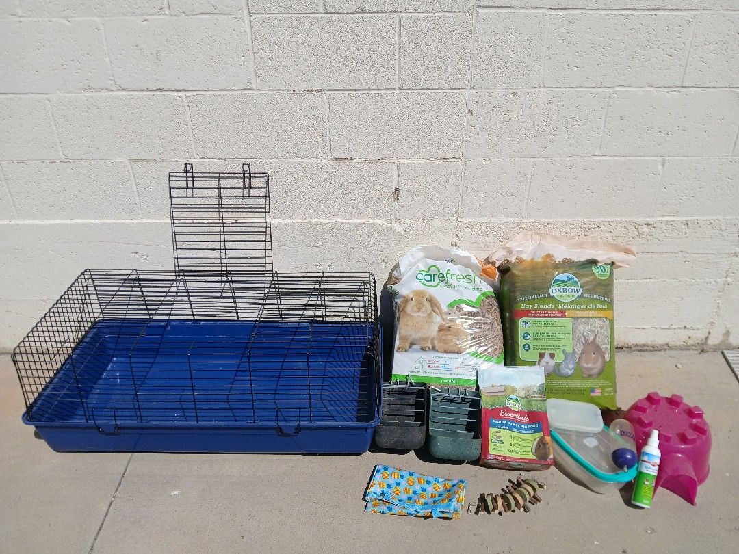 Bunny, guinea pig or small animal cage and supplies