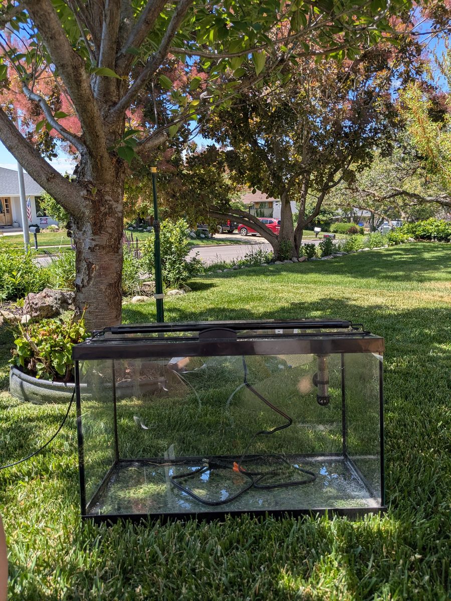 10-Gallon Fish Tank (with accessories)