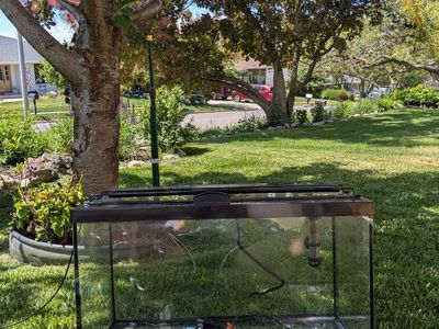 10-Gallon Fish Tank (with accessories)