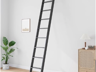 9FT Fredbeck Black Indoor Rolling Library Aluminum Ladder