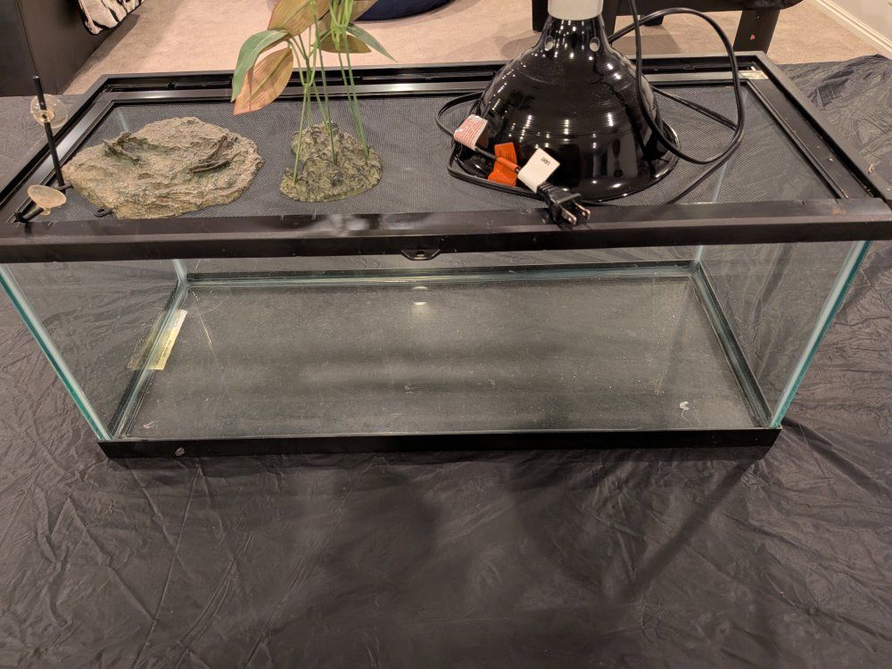 Main image 3