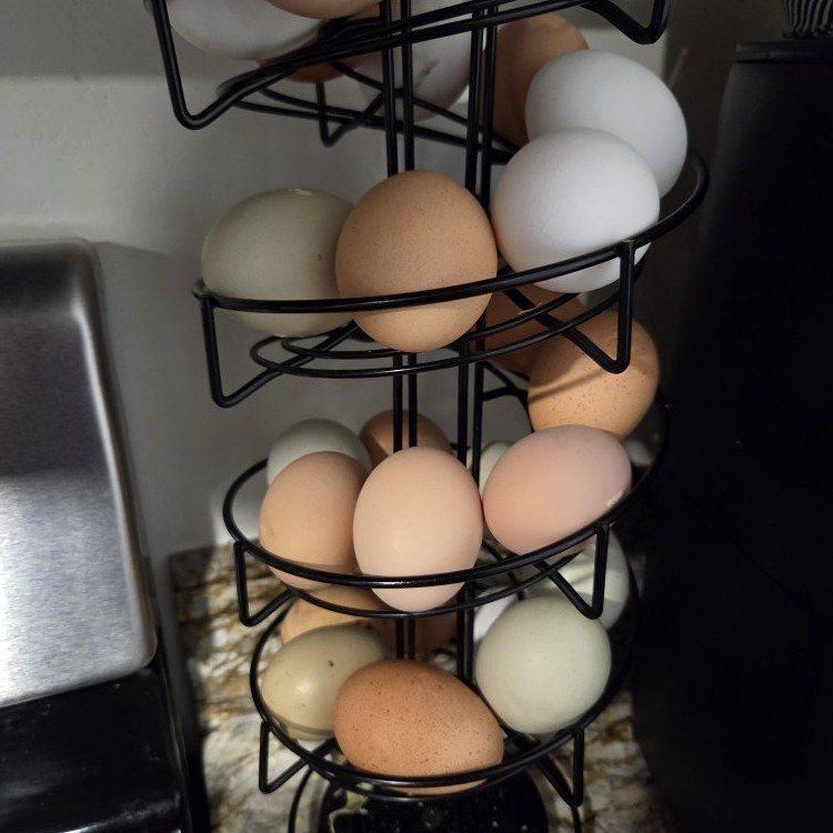 Fresh unwashed multicolored Eggs