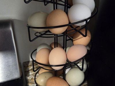 Fresh unwashed multicolored Eggs